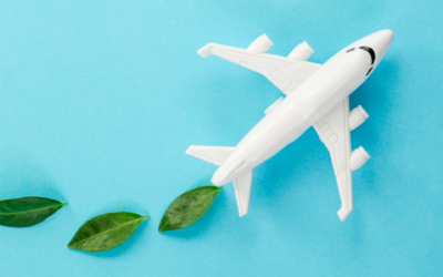 Sustainability in the Airline Industry—What We Heard at IFSA 2021