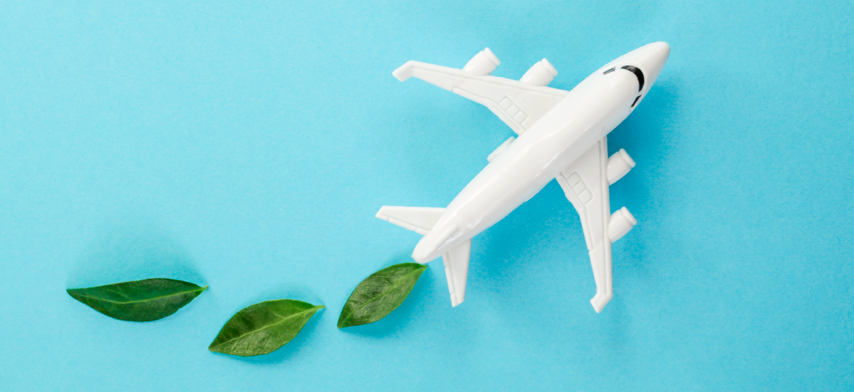 Sustainability in the Airline Industry — What We Heard at IFSA 2021